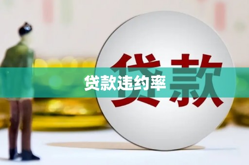 舟山新区贷款违约率