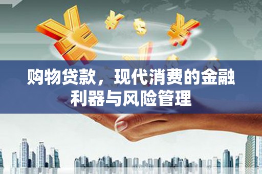 舟山新区购物贷款，现代消费的金融利器与风险管理