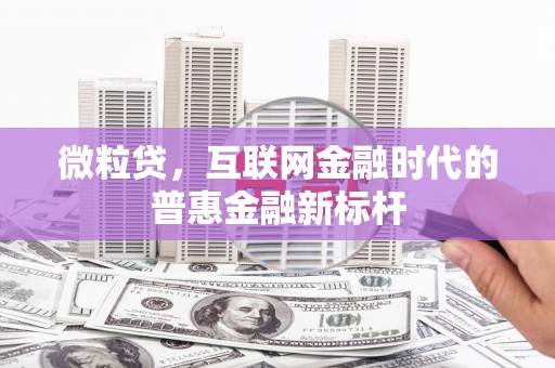 舟山新区微粒贷，互联网金融时代的普惠金融新标杆