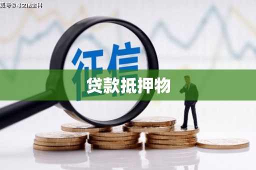 舟山新区贷款抵押物