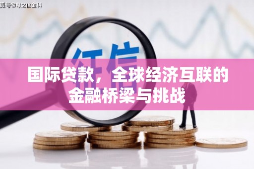 舟山新区国际贷款，全球经济互联的金融桥梁与挑战