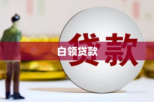 舟山新区白领贷款