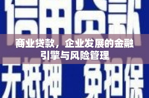舟山新区商业贷款，企业发展的金融引擎与风险管理