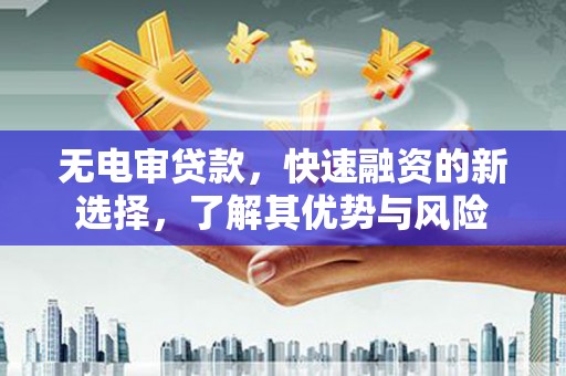 舟山新区无电审贷款，快速融资的新选择，了解其优势与风险