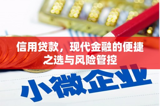 舟山新区信用贷款，现代金融的便捷之选与风险管控
