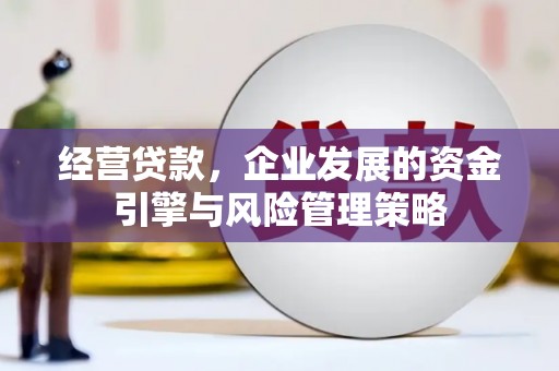 舟山新区经营贷款，企业发展的资金引擎与风险管理策略