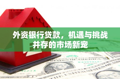 舟山新区外资银行贷款，机遇与挑战并存的市场新宠