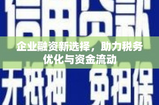 舟山新区企业融资新选择，助力税务优化与资金流动