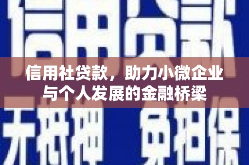 舟山新区信用社贷款，助力小微企业与个人发展的金融桥梁