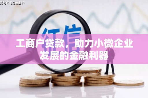 舟山新区工商户贷款，助力小微企业发展的金融利器