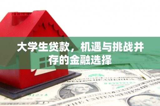 舟山新区大学生贷款，机遇与挑战并存的金融选择