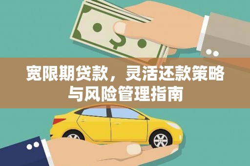 舟山新区宽限期贷款，灵活还款策略与风险管理指南