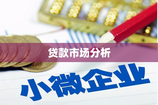 舟山新区贷款市场分析