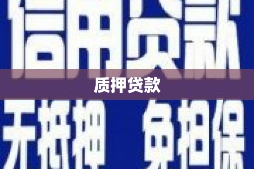 舟山新区质押贷款