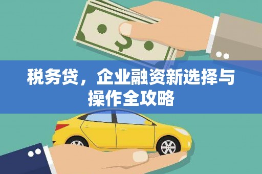 舟山新区税务贷，企业融资新选择与操作全攻略
