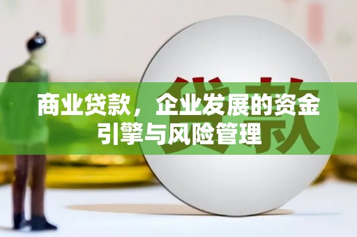 舟山新区商业贷款，企业发展的资金引擎与风险管理
