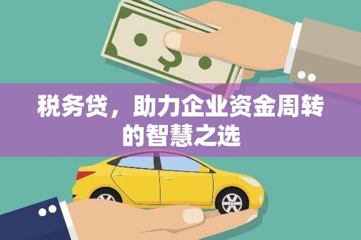 舟山新区税务贷，助力企业资金周转的智慧之选
