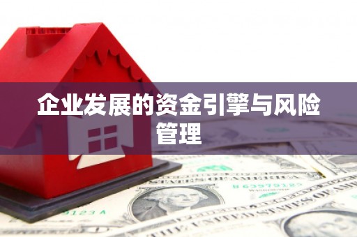 舟山新区企业发展的资金引擎与风险管理