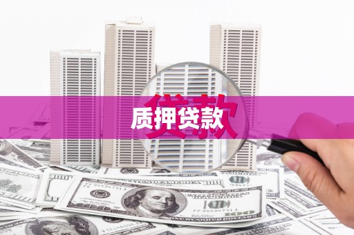 舟山新区质押贷款