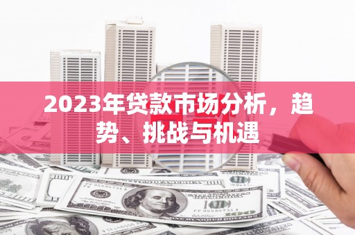 舟山新区2023年贷款市场分析，趋势、挑战与机遇