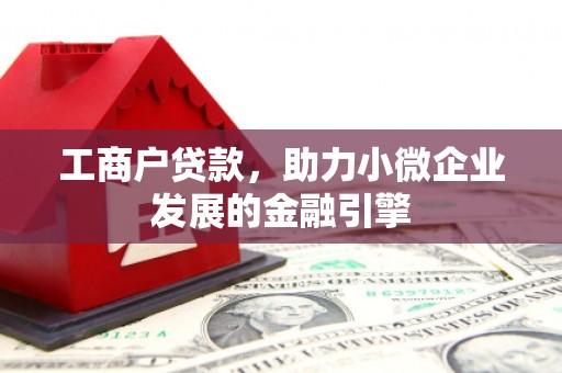 舟山新区工商户贷款，助力小微企业发展的金融引擎