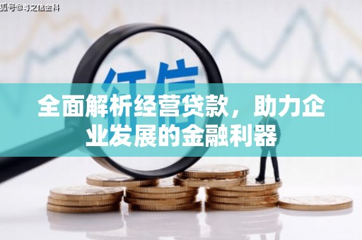 舟山新区全面解析经营贷款，助力企业发展的金融利器
