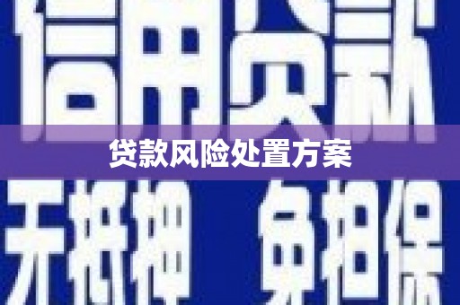 舟山新区贷款风险处置方案