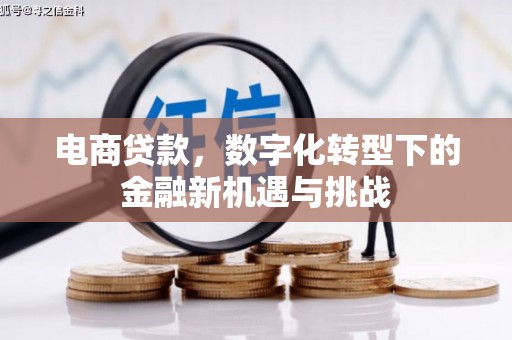 舟山新区电商贷款，数字化转型下的金融新机遇与挑战