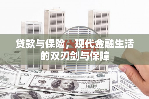 舟山新区贷款与保险，现代金融生活的双刃剑与保障