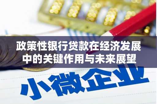 舟山新区政策性银行贷款在经济发展中的关键作用与未来展望