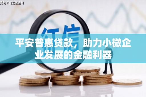 舟山新区平安普惠贷款，助力小微企业发展的金融利器