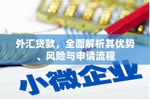 舟山新区外汇贷款，全面解析其优势、风险与申请流程