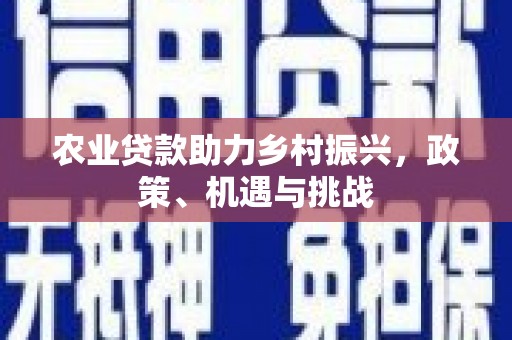 舟山新区农业贷款助力乡村振兴，政策、机遇与挑战