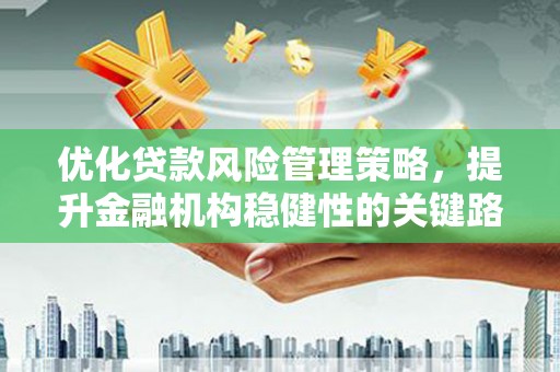 舟山新区优化贷款风险管理策略，提升金融机构稳健性的关键路径