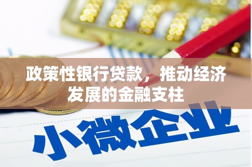 舟山新区政策性银行贷款，推动经济发展的金融支柱