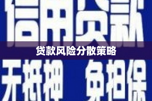 舟山新区贷款风险分散策略