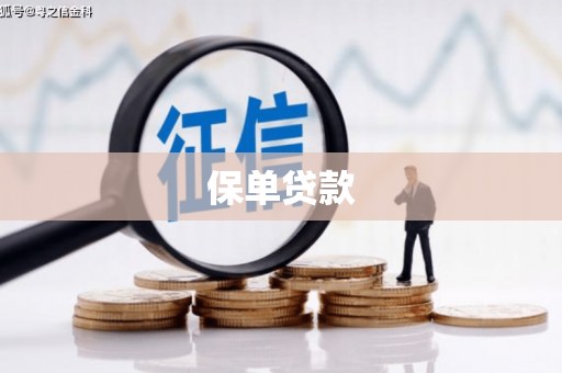 舟山新区保单贷款
