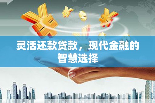 舟山新区灵活还款贷款，现代金融的智慧选择