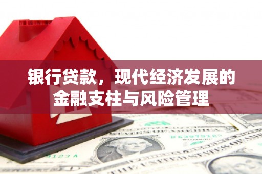 舟山新区银行贷款，现代经济发展的金融支柱与风险管理