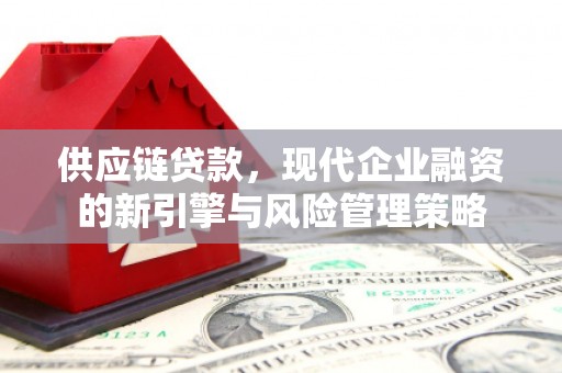舟山新区供应链贷款，现代企业融资的新引擎与风险管理策略
