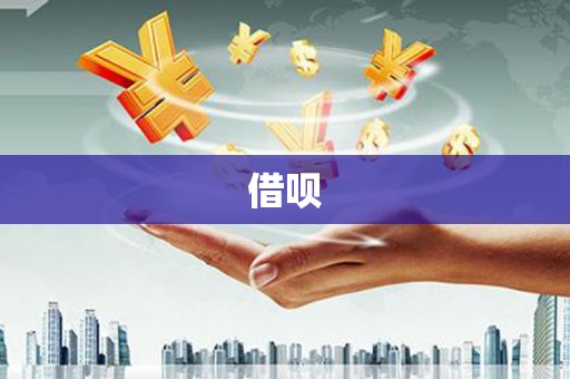 舟山新区借呗