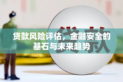 舟山新区贷款风险评估，金融安全的基石与未来趋势