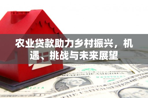 舟山新区农业贷款助力乡村振兴，机遇、挑战与未来展望