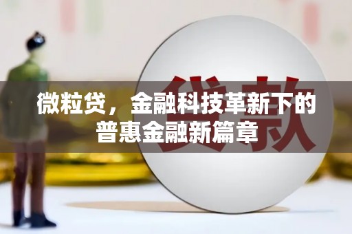 舟山新区微粒贷，金融科技革新下的普惠金融新篇章