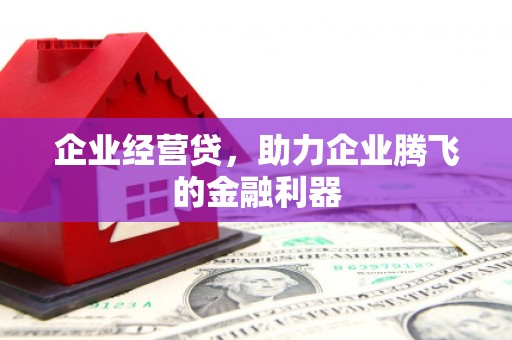 舟山新区企业经营贷，助力企业腾飞的金融利器