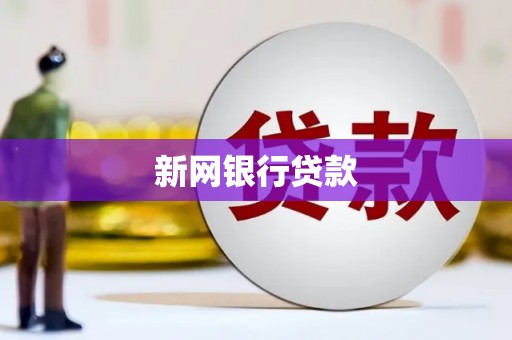 舟山新区新网银行贷款