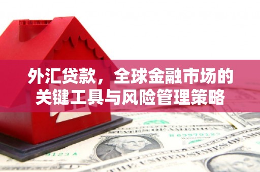 舟山新区外汇贷款，全球金融市场的关键工具与风险管理策略