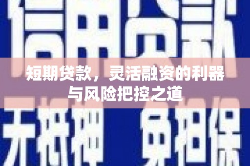 舟山新区短期贷款，灵活融资的利器与风险把控之道