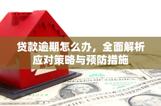 舟山新区贷款逾期怎么办，全面解析应对策略与预防措施
