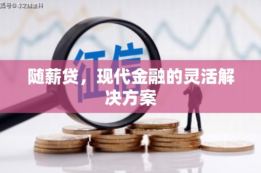 舟山新区随薪贷，现代金融的灵活解决方案